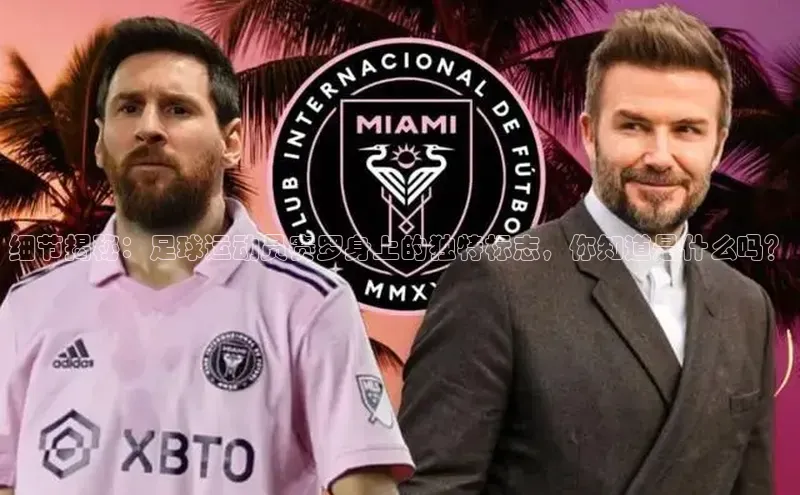 熊猫体育平台官网路畅科技细节揭秘：足球运动员赛罗身上的独特标志，你知道是什么吗？