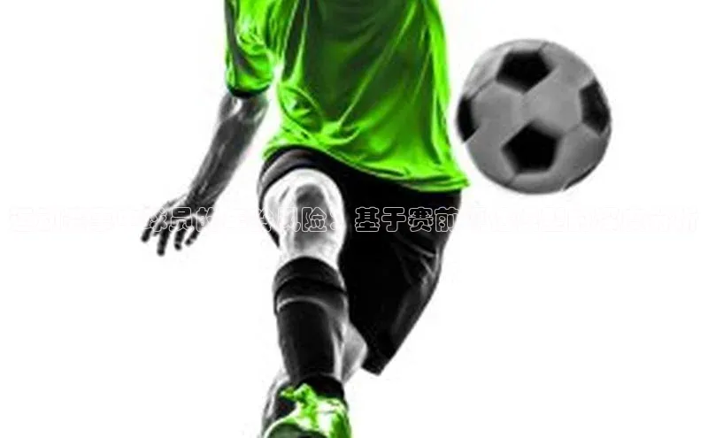 熊猫体育平台官网百度翻译App运动赛事中球员的年龄风险：基于赛前评估模型的深度分析