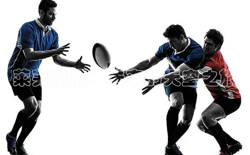 熊猫体育在线直播app江铃新能源莱芜航展：未来的天空之旅