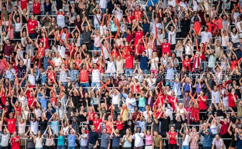 熊猫app下载百度集团从设计到实施：打造卓越运动赛事执行方案的全面策略