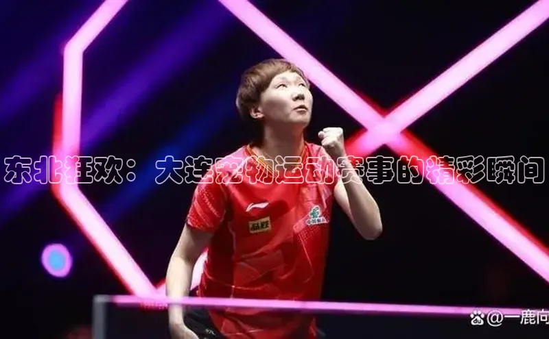 东北狂欢：大连宠物运动赛事的精彩瞬间