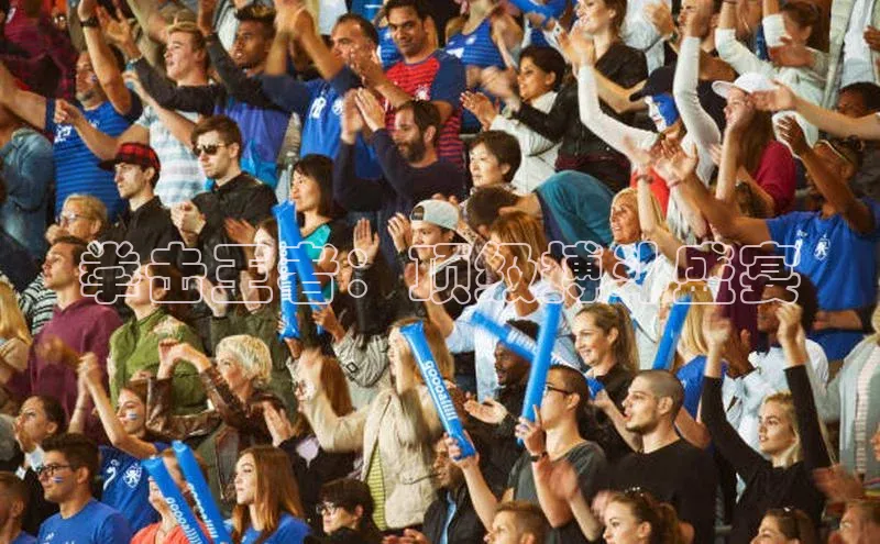 拳击王者：顶级搏斗盛宴