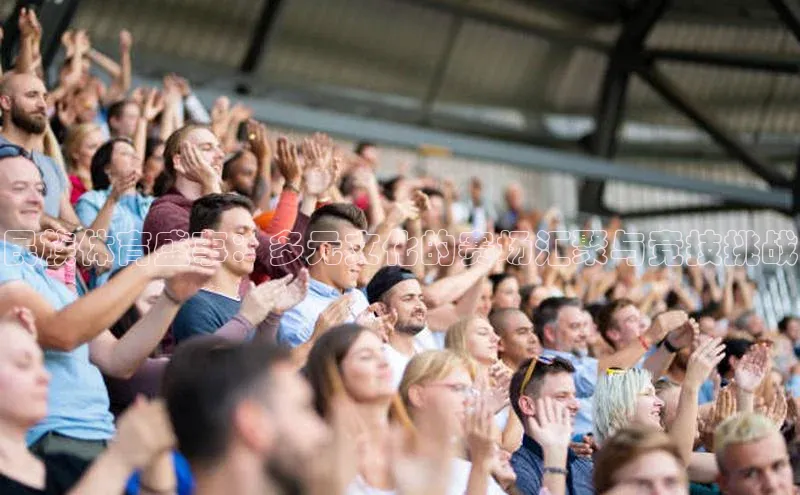 民族体育盛事：多元文化的赛场汇聚与竞技挑战