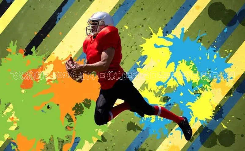 飞跃巅峰：2023年度中国体育运动全国赛事精彩回顾与展望