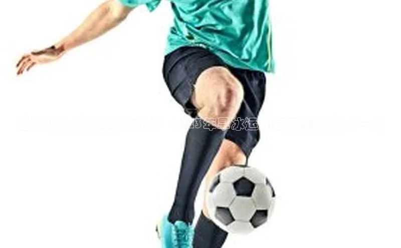 世界顶尖滑冰高手对决：2023年旱冰运动国际赛事排名一览