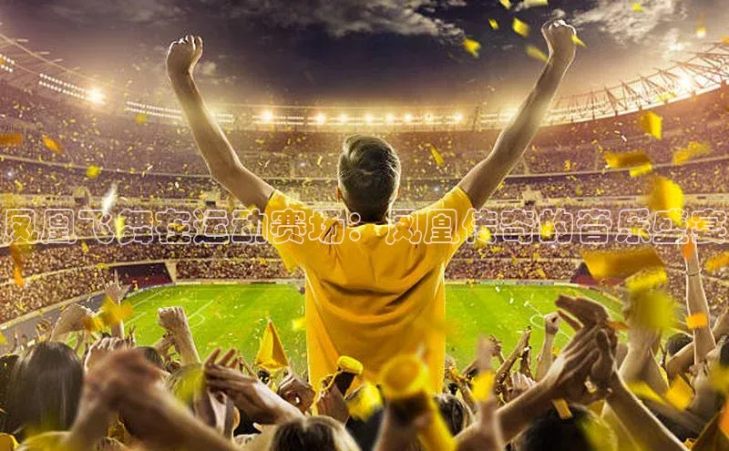 凤凰飞舞在运动赛场：凤凰传奇的音乐盛宴