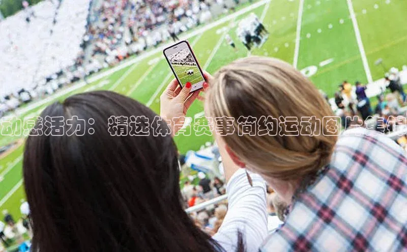 动感活力：精选体育赛事简约运动图片集锦