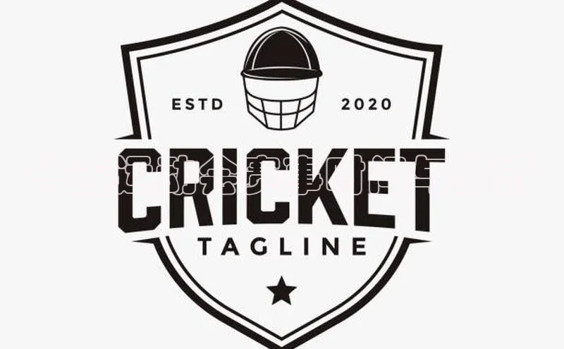 十五运动会赛事时间与分析