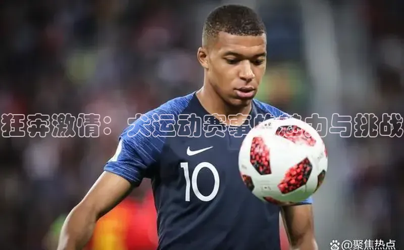 狂奔激情：犬运动赛事的魅力与挑战