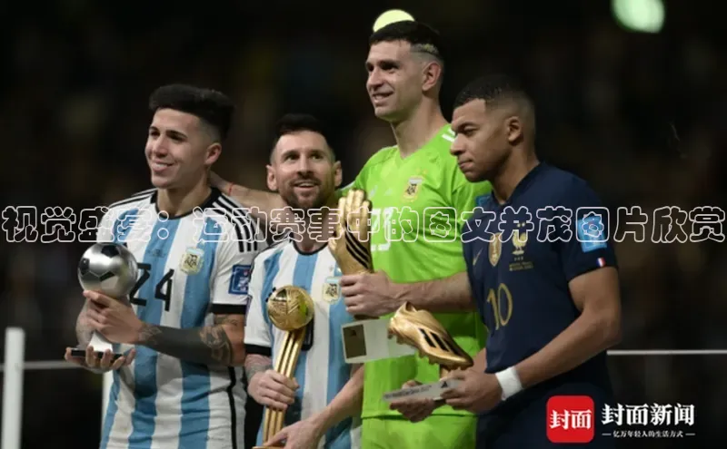 熊猫体育app官网