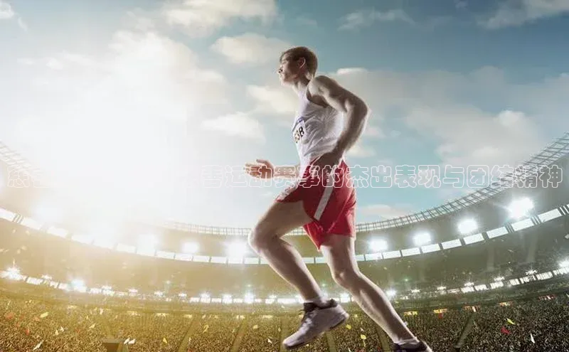 熊猫体育直播免费足球