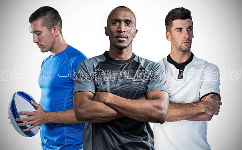 激情赛场：一场充满挑战与荣耀的赛事直播解说