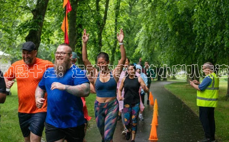熊猫体育直播免费观看
